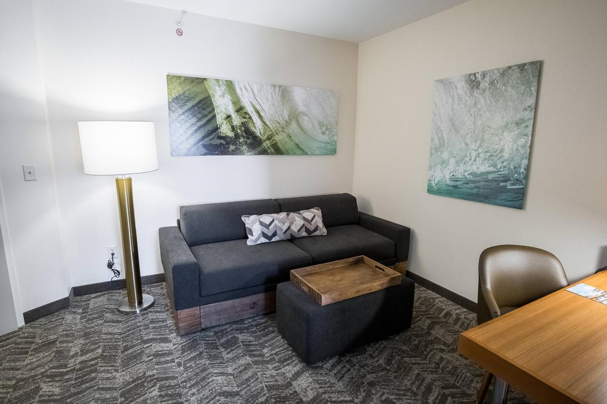 Springhill Suites By Marriott Winston-Salem Hanes Mall Экстерьер фото