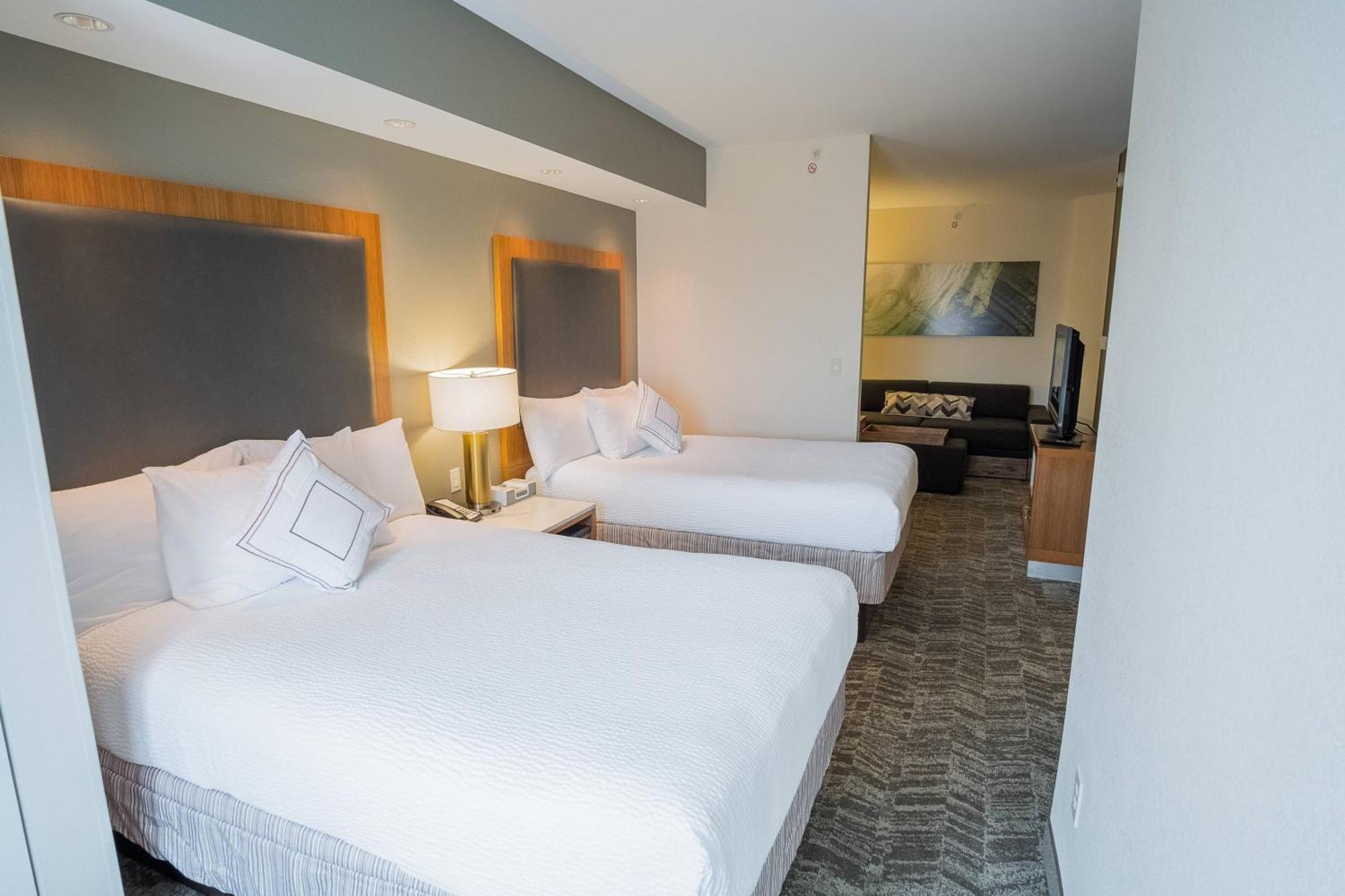 Springhill Suites By Marriott Winston-Salem Hanes Mall Экстерьер фото